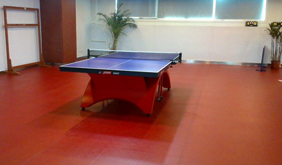 乒乓球运动地板的特性及其在健身休闲活动中的重要性