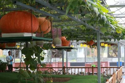 感受知青激情岁月，助力乡村振兴——省第九届全民健身运动会气排球活动走进兰陵